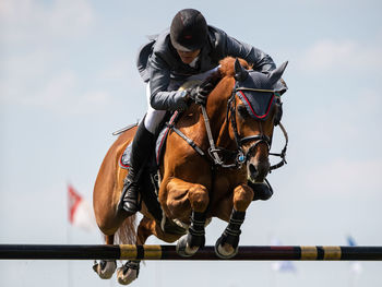 Man riding horse