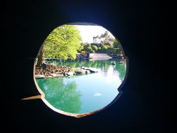 Reflection of trees on sea seen through window