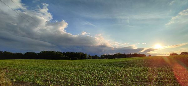 Scenic view of agricultural field against sky