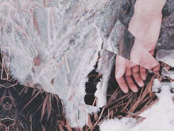 Close-up of hand in frozen nature 