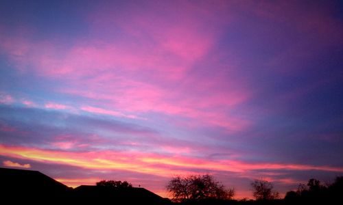 Silhouette of trees at sunset