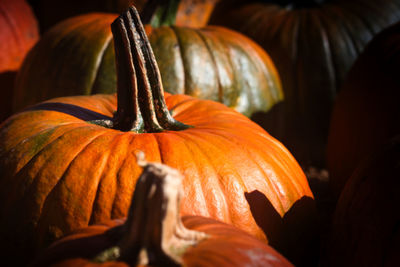 Close-up of pumpkin on pumpkins during autumn