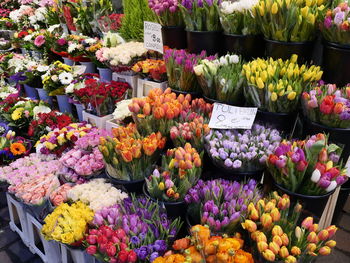 Full frame shot of vegetables for sale