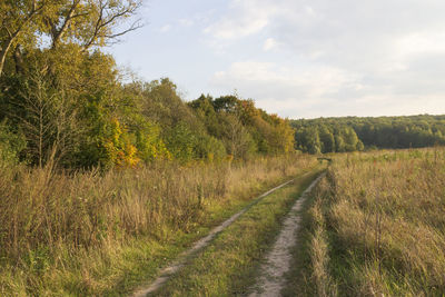 Scenic view of landscape against sky