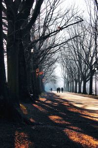 Rear view of people walking on road in autumn