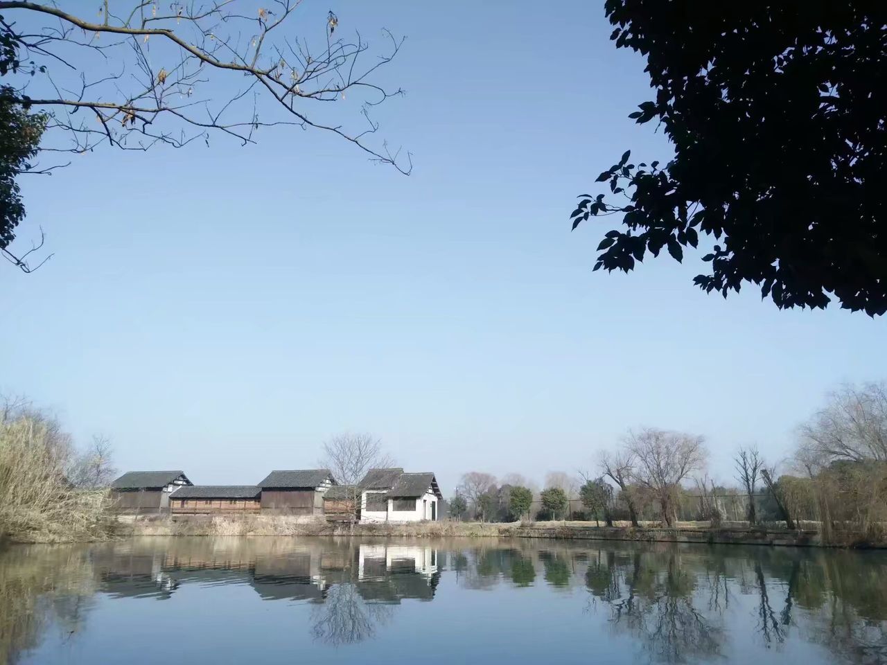 tree, water, built structure, reflection, bare tree, architecture, lake, no people, tranquility, outdoors, day, tranquil scene, building exterior, nature, clear sky, sky, branch, beauty in nature, scenics