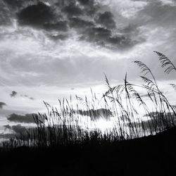 Scenic view of landscape against cloudy sky