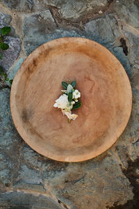 High angle view of flowering plant on rock