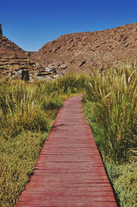 Narrow walkway leading towards grassy field against clear sky