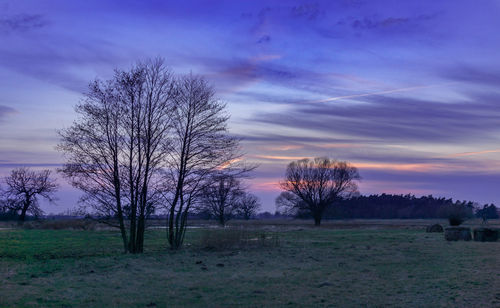 Bare trees on field against sky at sunset