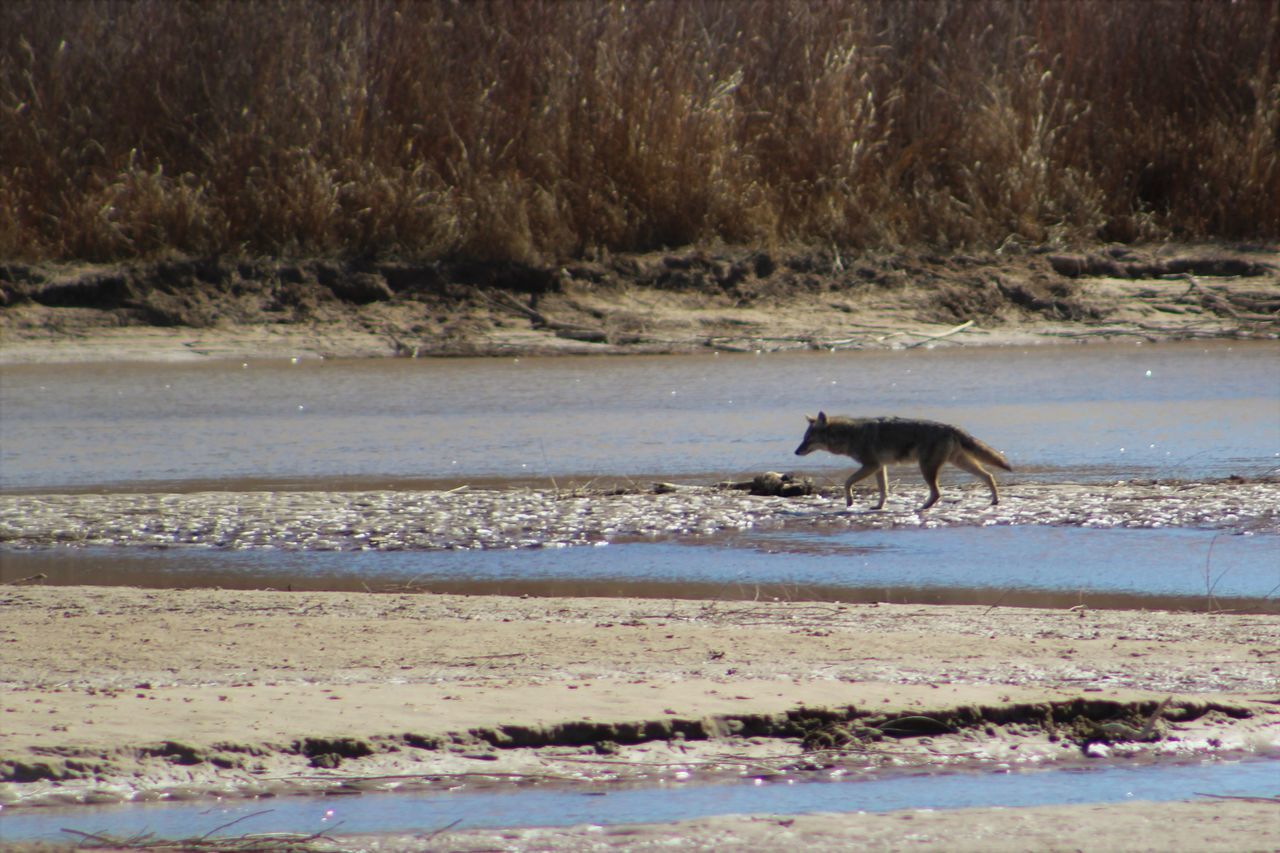 Rio grande valley state park