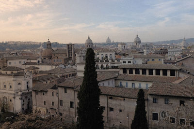 Buildings in city