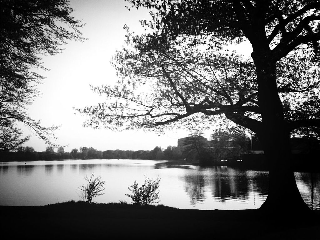 tree, water, silhouette, lake, reflection, tranquility, bare tree, tranquil scene, branch, clear sky, river, scenics, nature, beauty in nature, lakeshore, sky, sunset, tree trunk, outdoors, no people