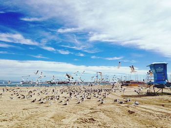 Flock of seagulls at beach against sky