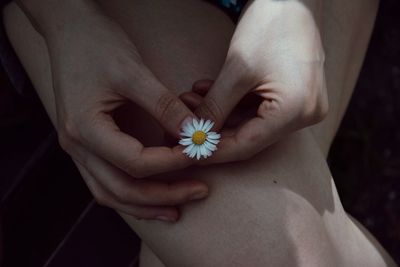 Midsection of woman holding small white flower