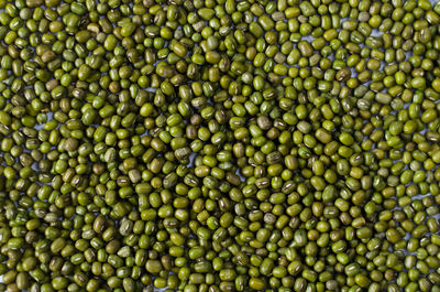 Full frame shot of green lentils on table