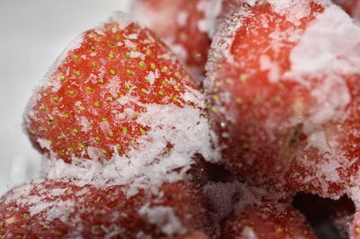 Close-up of ice cream
