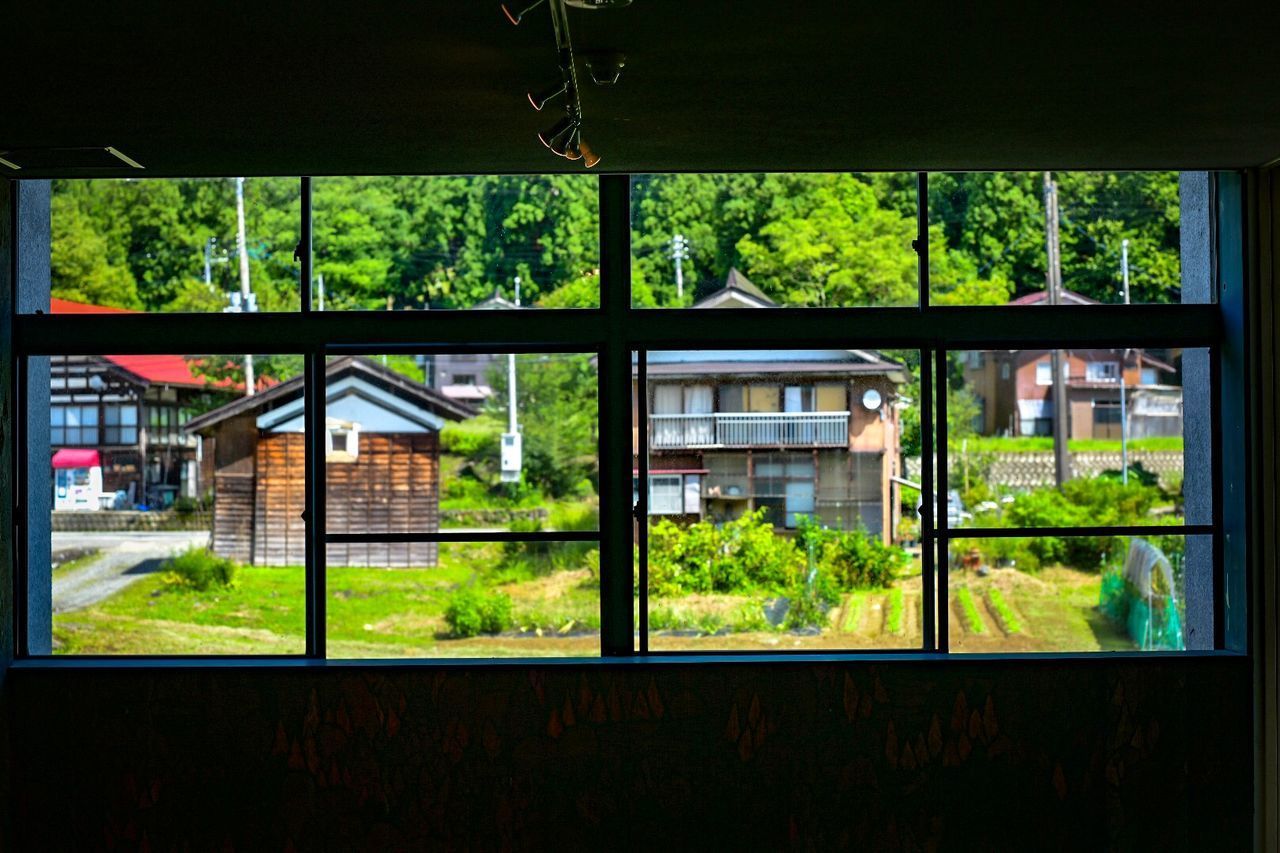 PLANTS SEEN THROUGH WINDOW OF HOUSE