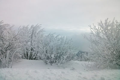 Scenic view of snow covered landscape