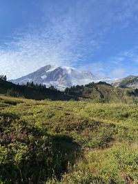 Mount rainier skyline trail 