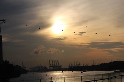 Silhouette birds flying over sea against sky during sunset