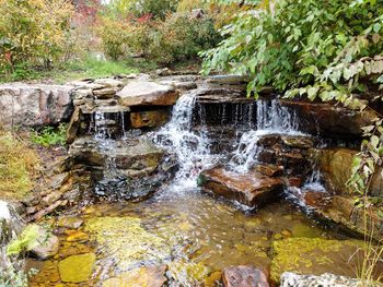 Scenic view of waterfall in forest