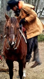 Close-up of horse standing outdoors