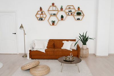 Stylish brown sofa with pillows and a blanket, floor lamp, potted flower, honeycomb shelves 