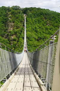 Suspension bridge amidst trees in forest