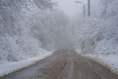 Snowy driveway and fog. mountain road in georgia trees covered by snow. winter forest after snowfall