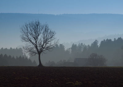 Silhouette bare tree on field against sky