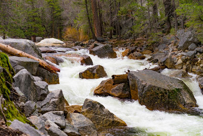 Scenic view of river flowing through rocks