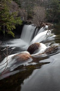 Scenic view of waterfall in forest