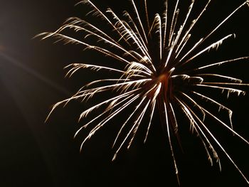 Low angle view of firework display at night