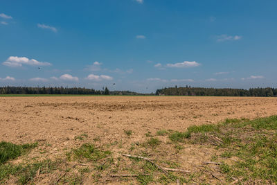 Scenic view of field against sky