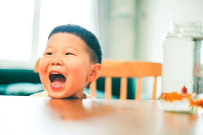 Portrait of boy at home