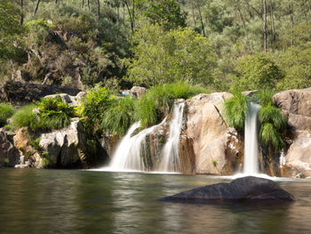 Scenic view of waterfall in forest