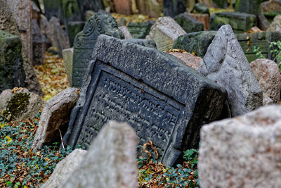 Old jewish cemetery in prague.