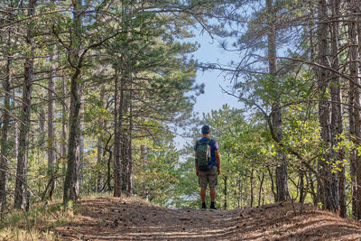 A man with a backpack is standing on the top of the trail in a beautiful autumn forest.