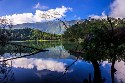 Scenic view of lake by trees against sky