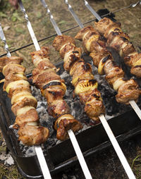 Close up cooking meat barbecue on the coal in camping park, forest. meat , onion rings strung on