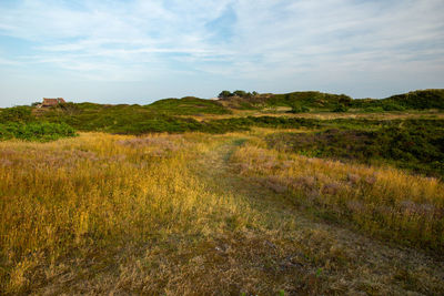 Scenic view of land against sky