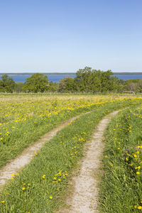 Scenic view of field against clear sky