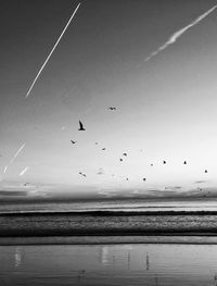 Birds flying over beach against sky