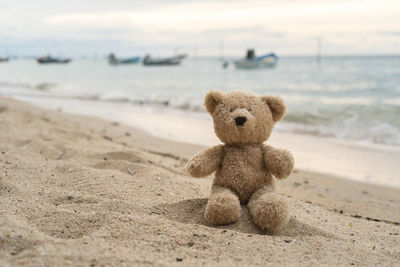 Teddy bear on shore by sea at beach