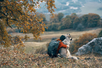 Dog on street during autumn