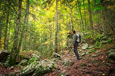 Man walking in forest