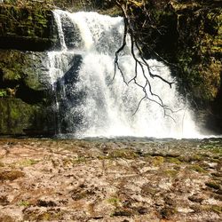 Scenic view of waterfall in forest