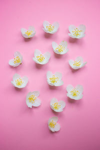 High angle view of cupcakes on table
