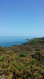 Scenic view of sea against clear sky